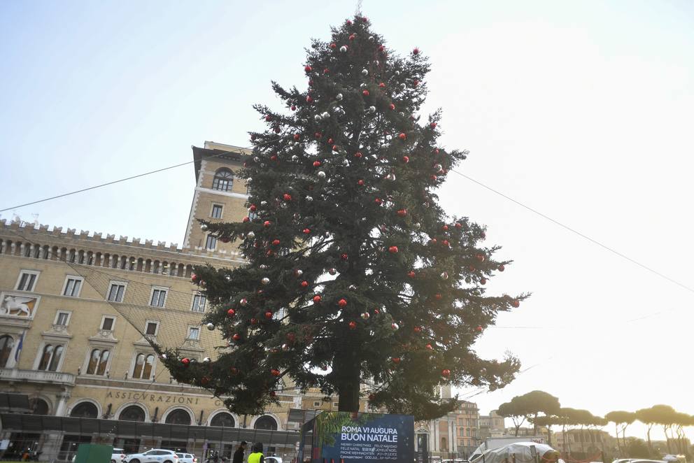 Albero Di Natale Roma.La Maledizione Dell Albero Di Natale A Roma Addio Alle Decorazioni Velvetgossip