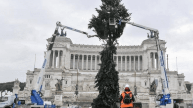 Dopo Spelacchio, #Spezzacchio: non c'è pace per l'abete di Roma