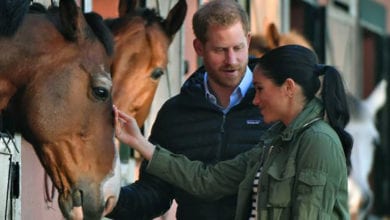 Harry e Meghan e la passione comune: cosa potrebbe salvare il loro matrimonio