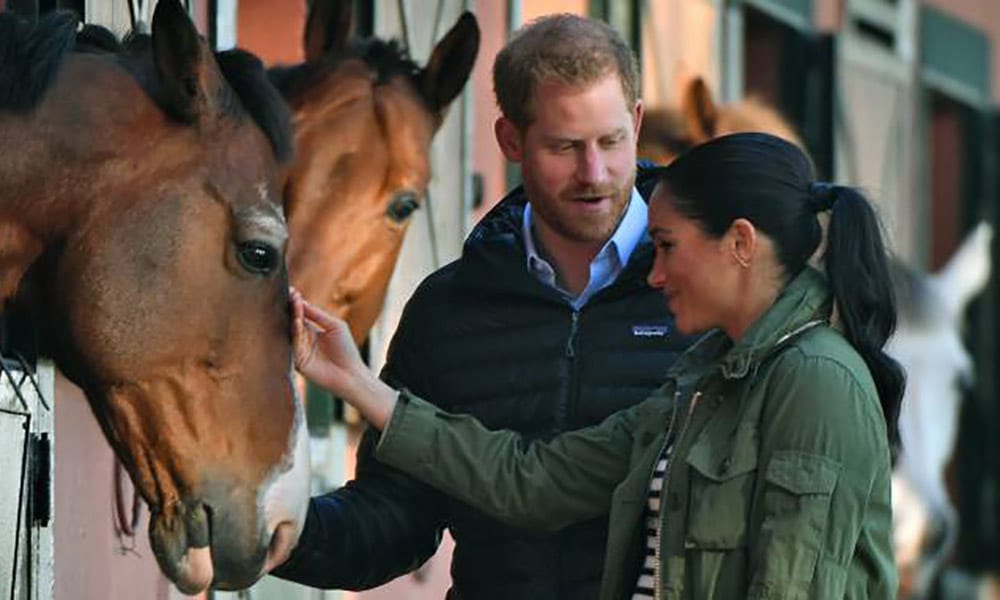 Harry e Meghan e la passione comune: cosa potrebbe salvare il loro matrimonio