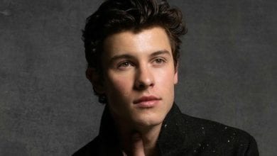 shawn mendes