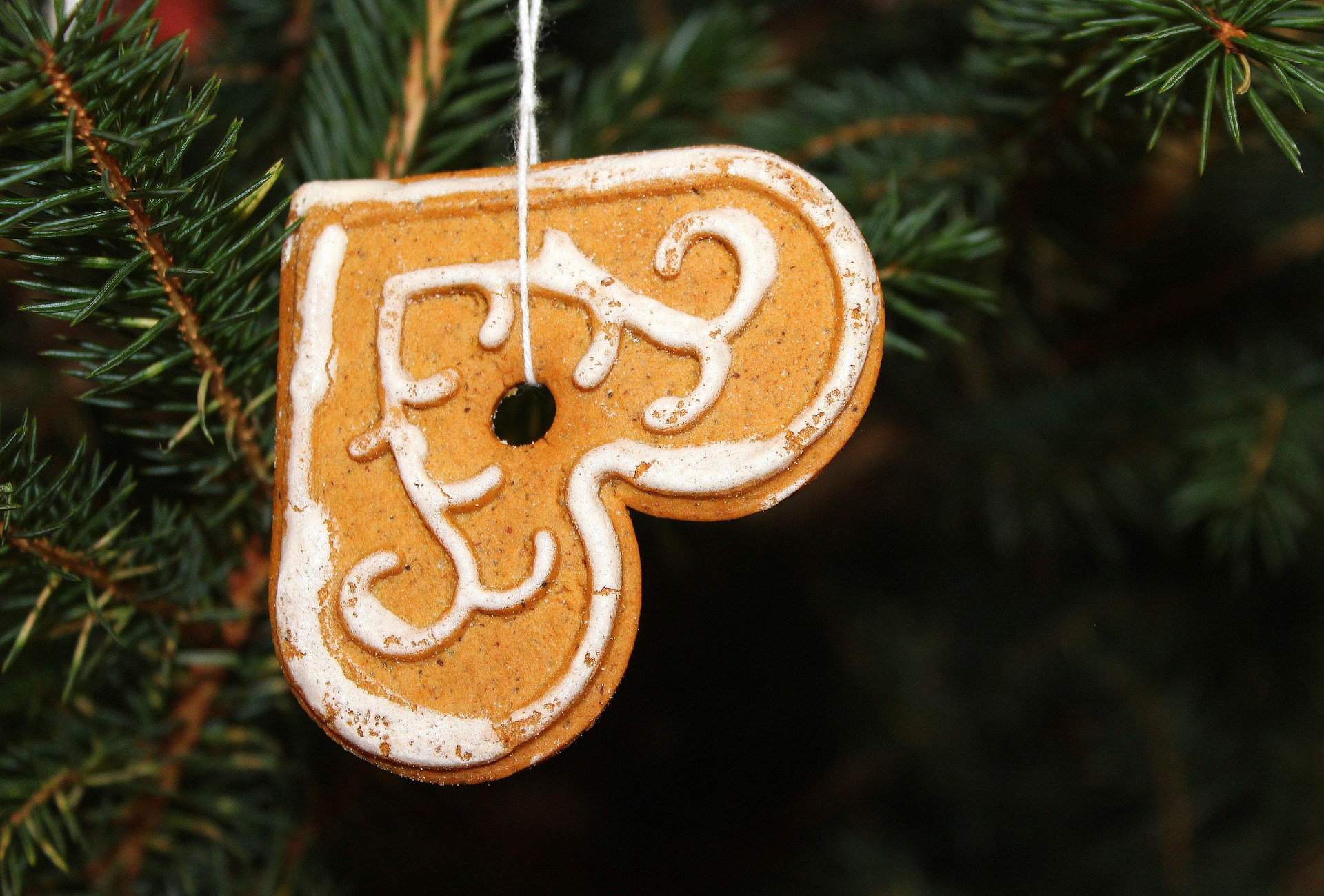 Biscotti Di Natale Per Decorare Lalbero.Albero Di Natale Decorazioni Fai Da Te Idee Sfiziose Foto Velvetgossip