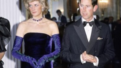 Lady Diana e Carlo: "l'hanno fatto sul divano il giorno del divorzio"