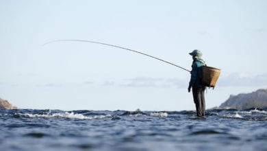 Pescatore milionario vomito di balena