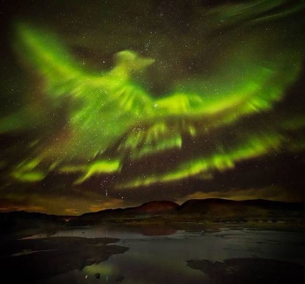 fenice gigante aurora boreale