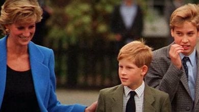 William Harry Lady Diana