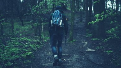 uomo trova tesoro nel bosco