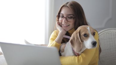 Giornata Mondiale Cane Ufficio