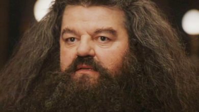 Hagrid Harry Potter