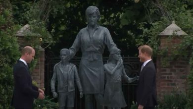 William Harry statua Lady Diana