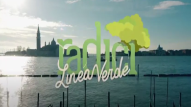 Linea Verde Radici