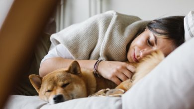 donne dormono meglio accanto cani