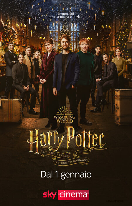 Harry Potter reunion poster