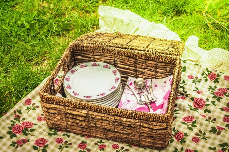  picnic