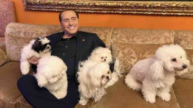 Silvio Berlusconi cani